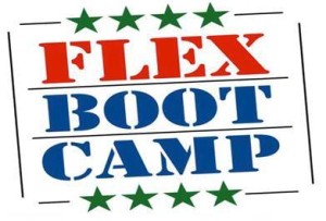 FLEX logo2